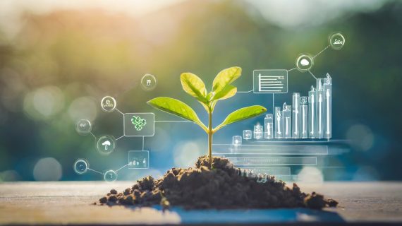 Tips Membangun Bisnis Online dengan Fokus pada Keberlanjutan