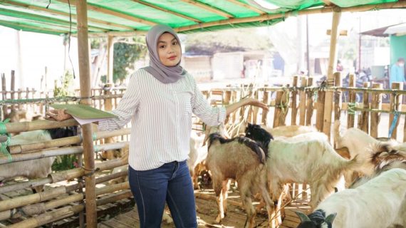 Menggunakan Media Sosial untuk Mempromosikan Kambing Qurban