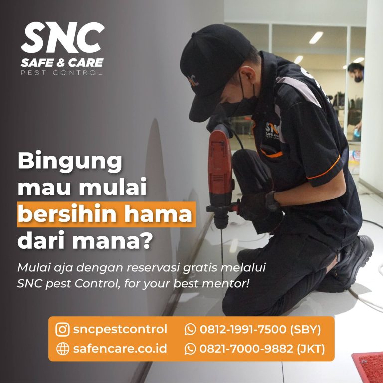 Safe N Care