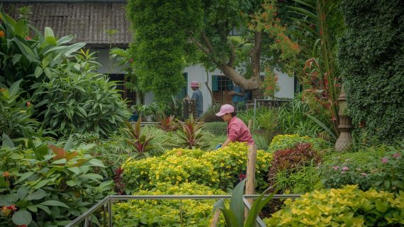 Tukang Taman di Tangerang: Solusi Terbaik untuk Taman Rumah dan Komersial Anda